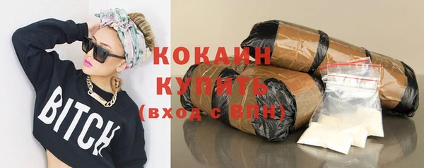 гашик Богородицк