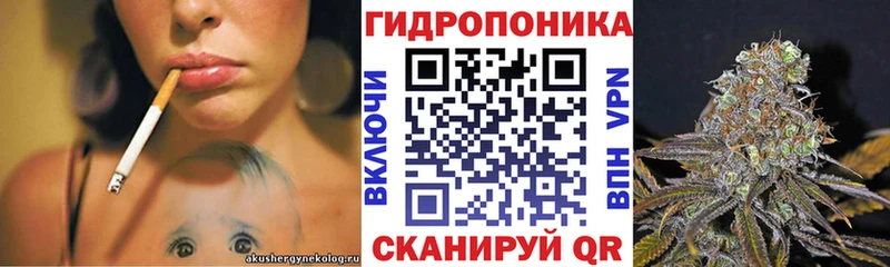 Конопля Amnesia  Колпашево 